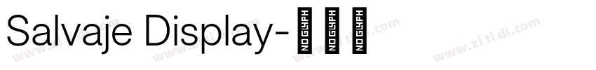 Salvaje Display字体转换 Salvaje Display字体转换